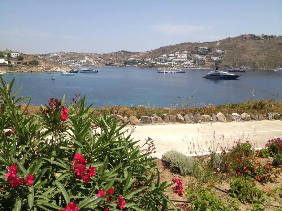 Paris House Appartamento Mykonos Town